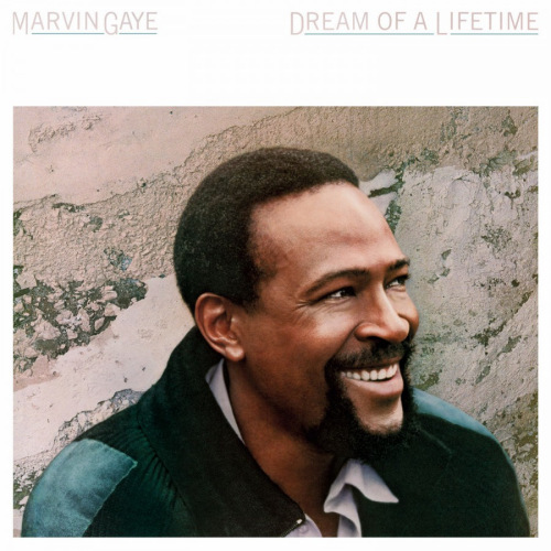 Marvin-Gaye-Dream-of-a-lifetime